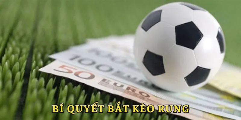 Kèo Rung - Tất Tần Tật Những Điều Hội Viên Cần Biết Tại VN88 4 Bí quyết bắt kèo chuẩn