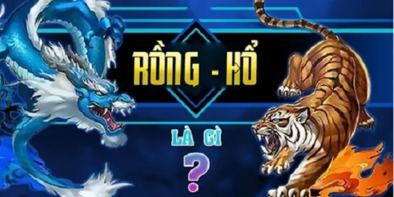 Rồng Hổ | Hướng Dẫn Cách Chơi Cùng Kinh Nghiệm Chiến Thắng 4 Mẹo đánh Dragon Tiger dễ thắng